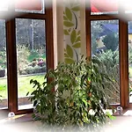 Le Saint Barnabe & - Near Guebwiller Hotel
