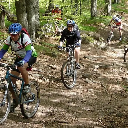 Le Saint Barnabe & - Near Guebwiller Buhl