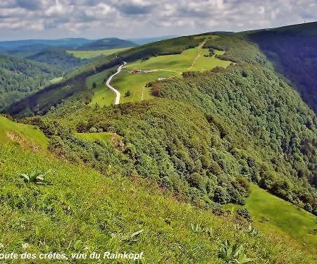 Le Saint Barnabe & - Near Guebwiller Buhl