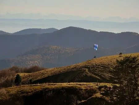 Le Saint Barnabe & - Near Guebwiller 3*