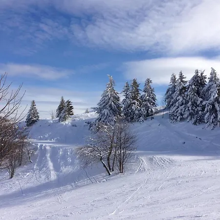 Hotel Le Saint Barnabe & - Near Guebwiller