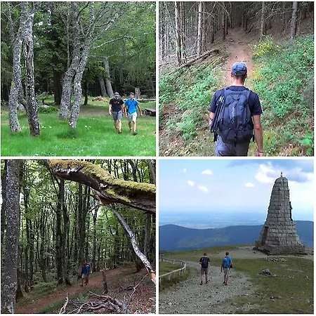 Hotel Le Saint Barnabe & - Near Guebwiller Buhl