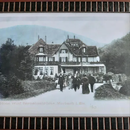 Le Saint Barnabe & - Near Guebwiller Hotel