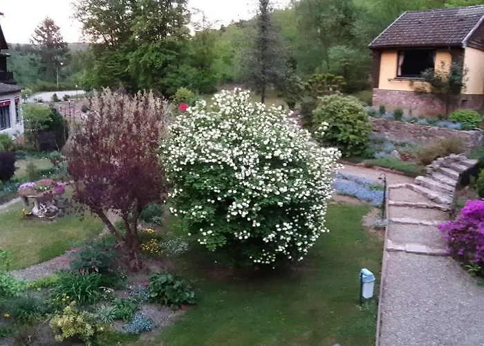 Le Saint Barnabe & - Near Guebwiller Hotel Buhl