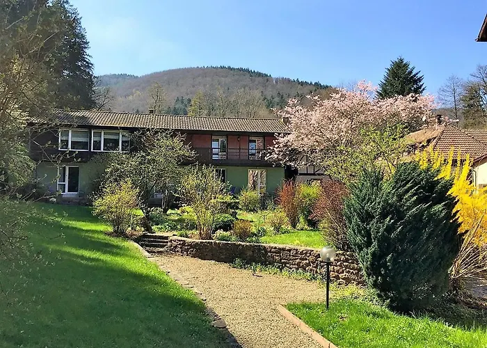 Le Saint Barnabe & - Near Guebwiller Hotel Buhl