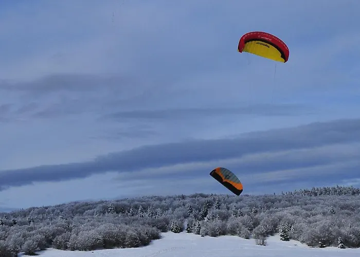 Le Saint Barnabe & - Near Guebwiller Hotel Buhl