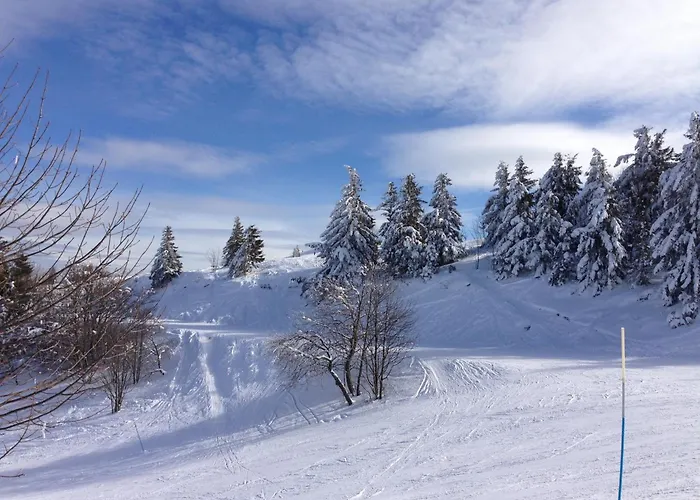 Hotel Le Saint Barnabe & - Near Guebwiller