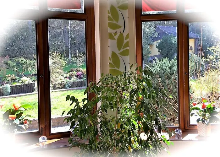 Le Saint Barnabe & - Near Guebwiller Hotel