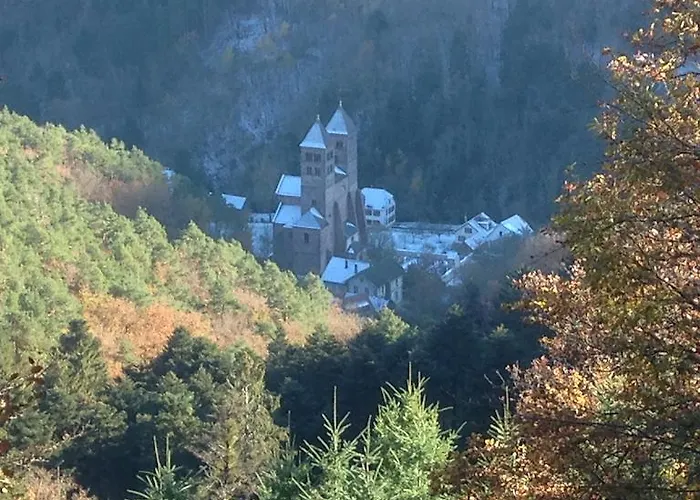 Hotell Le Saint Barnabe & - Near Guebwiller