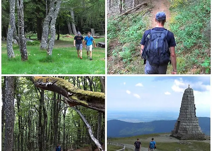 Hotel Le Saint Barnabe & - Near Guebwiller Buhl