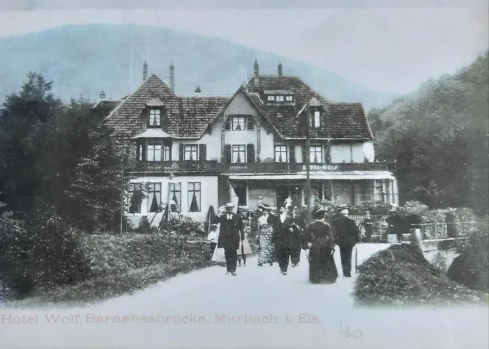 Le Saint Barnabe & - Near Guebwiller Hotel